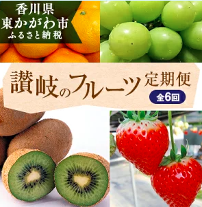 四国香川の新鮮でみずみずしいフルーツふるさと納税